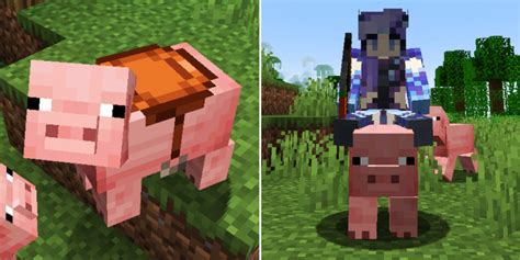 Minecraft How To Ride A Pig
