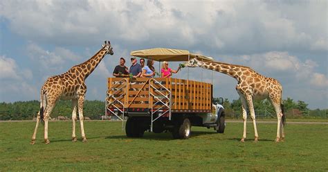 African Lion Safari Wildlife Park | Family Fun Toronto