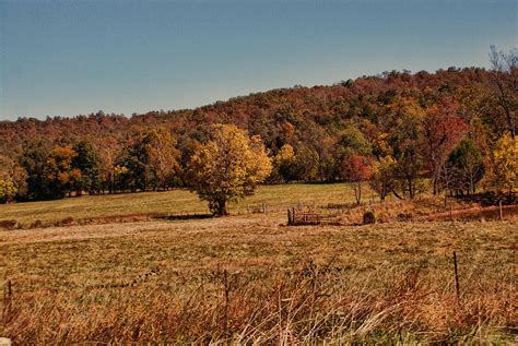 Autumn Pasture Photograph By Rick Friedle Fine Art America