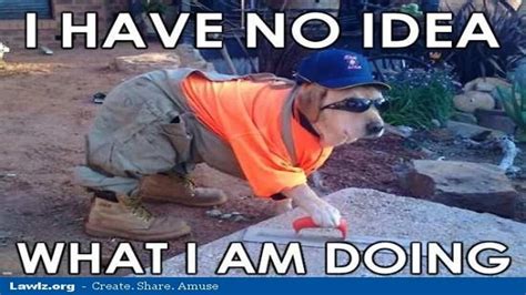 51 Funny Safety Memes Images Graphics Jokes And Photos Picsmine