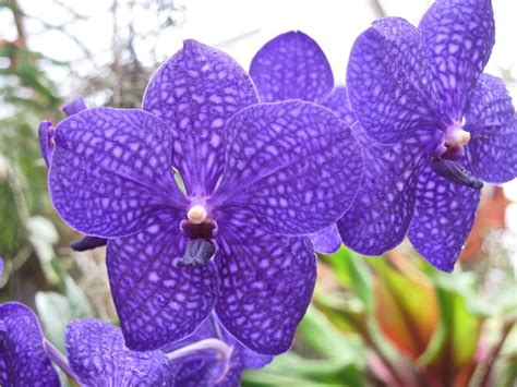 Shop costco.ca for electronics, computers, furniture, outdoor living, appliances, jewellery and more. Flowers Bakery Sarasota Florida - Beneva Flowers in ...