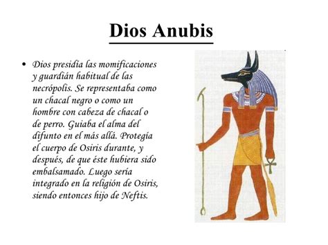 Dioses egipcios, lista de todos los dioses, características y mitos. Los dioses egipcios