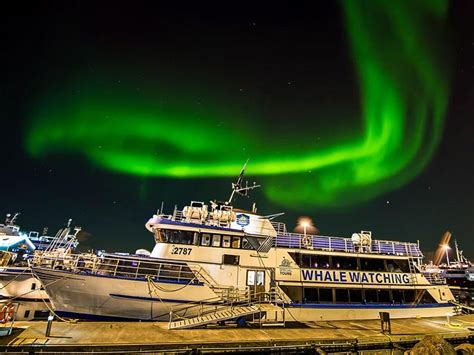 Northern Lights By Boat Activity Iceland