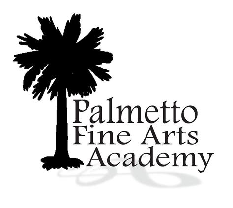 Palmetto Fine Arts Academy Greenville Sc