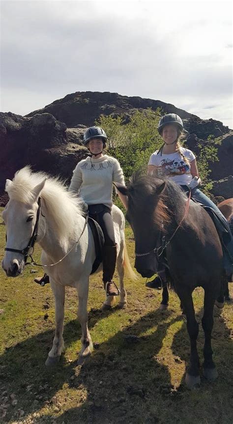 Half Day Tour Horseback Riding In Reykjavík Guide To Iceland