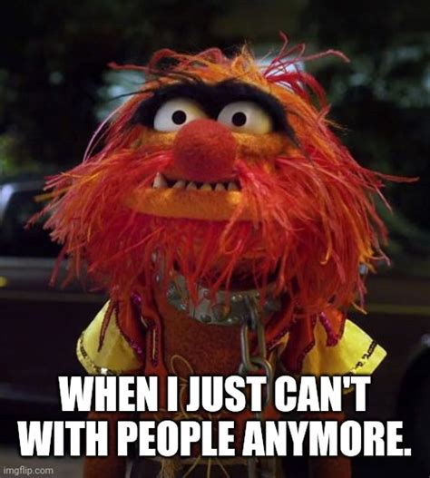 Image Tagged In Muppet Animal Imgflip