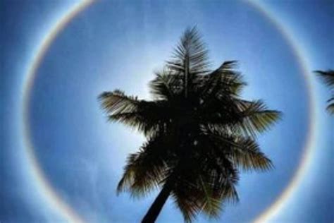 bengaluru residents witness rare sun halo phenomenon stunning images