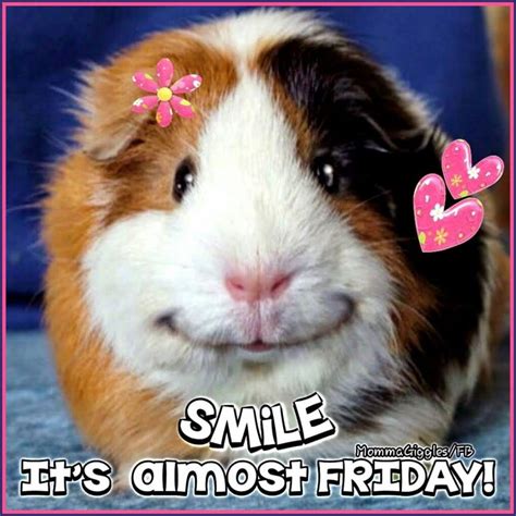 Smile Its Almost Friday Pictures Photos And Images For Facebook