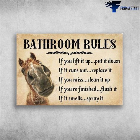 Bathroom Rules And If You Lift It Up Put It Down If Ir Runs Out Replace It If You Miss Poster