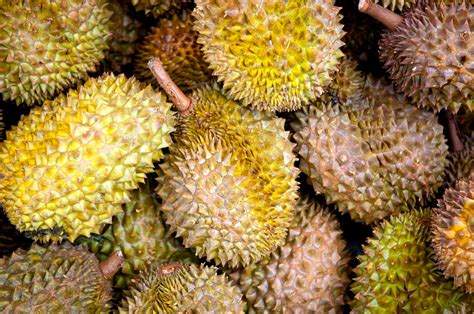 Whats The Difference Between Durian And Jackfruit Wholeyum