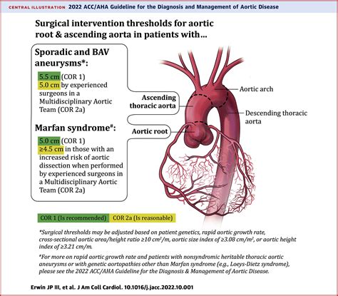 2022 Aortic Disease Guideline At A Glance Journal Of The American