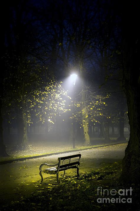 Park Bench At Night Photograph By Lee Avison
