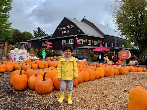 5 Things To Do This Fall In Milton, Ontario - The Curious Creature