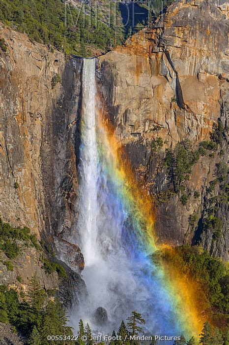 Minden Pictures Waterfall And Rainbow Bridal Veil Falls Yosemite