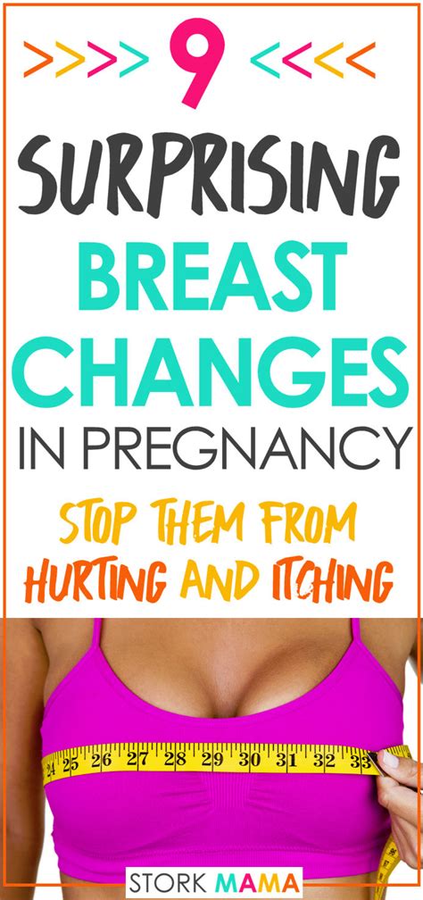 Common Breast Changes In Pregnancy Stork Mama