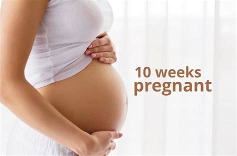 10 Weeks Pregnant Baby Growth Development And Pregnancy Symptoms