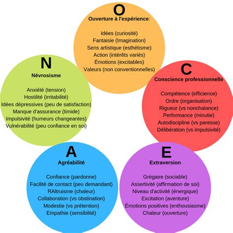 Les Types De Personnalité Du Big Five Inventory Bfi