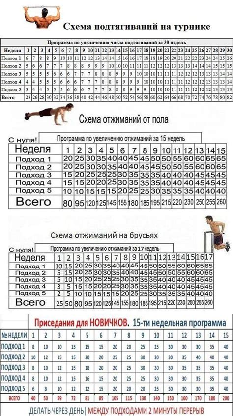 Программа тренировок в тренажерном зале для мужчин - sportdush.ru