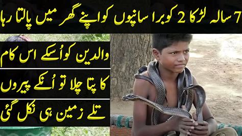 This Indian Boy Brings Cobra Snakes From Forest To His Home And He Says They Are His Friends
