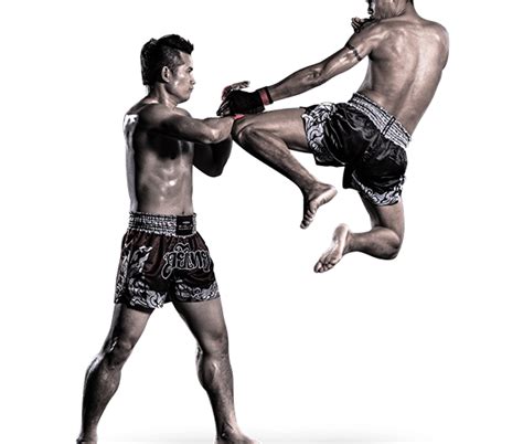 All You Need To Know About Muay Thai Training Camp In Thailand Worthview
