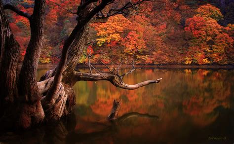 10 Perfect Reflected Landscapes By Jaewoon U 500px