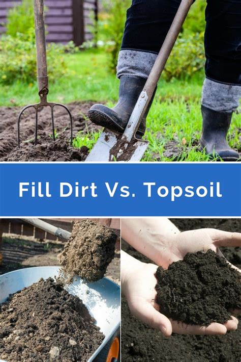 Fill Dirt Versus Topsoil Know Which Is Better And Why