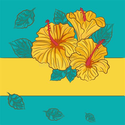Floral Background With Yellow Hibiscus Stock Vector Illustration Of