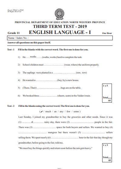 Grade 11 English 3rd Term Test Paper With Answers 2019 North Western