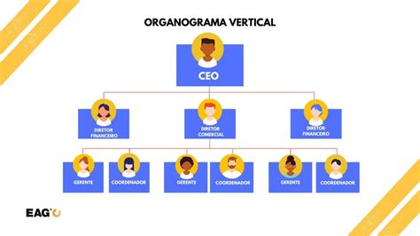 Organograma De Uma Empresa Como Principais Modelos E Como Elaborar