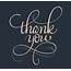 Thank You Text Calligraphy Lettering Vector Illustration EPS10 417616 