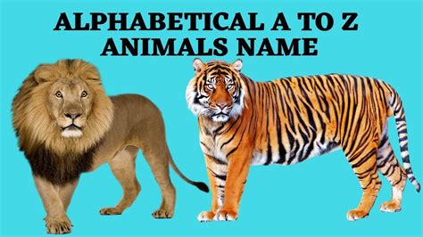 Top Animal Names A To Z Background Temal