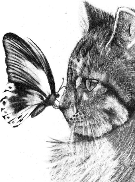 Ver más ideas sobre animales dibujados a lapiz, pintura de gato, dibujos. Gatos tiernos para dibujar a lapiz - Imagui
