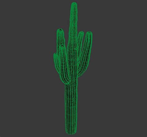 3d Saguaro Cactus Max File Cadbull Landscaping Blocks Landscaping
