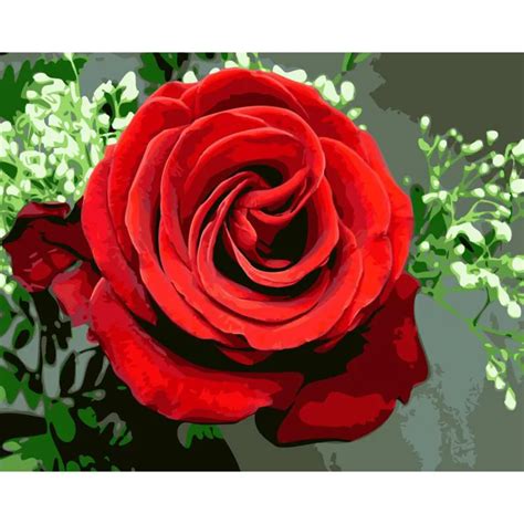 Frameless Hand Painted Red Rose Diy Oil Painting By Numbers Flowers