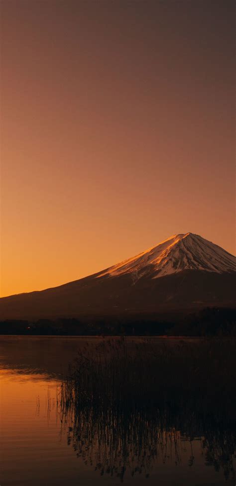 Download Wallpaper 1440x2960 Lake Kawaguchi Mount Fuji Mountain
