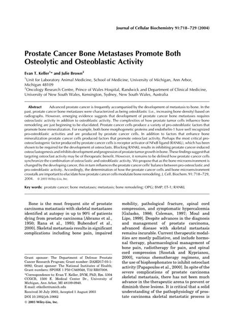 Prostate Cancer Bone Metastases Promote Both Osteolytic And Osteoblastic Activity Docslib