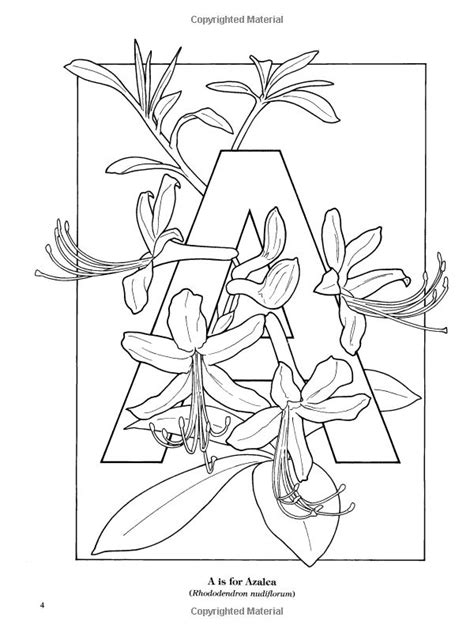 Garden Flowers Alphabet Coloring Book Ruth Soffer Coloring Books For