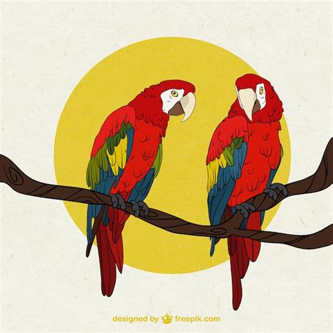Premium Vector Parrots On A Branch Illustration