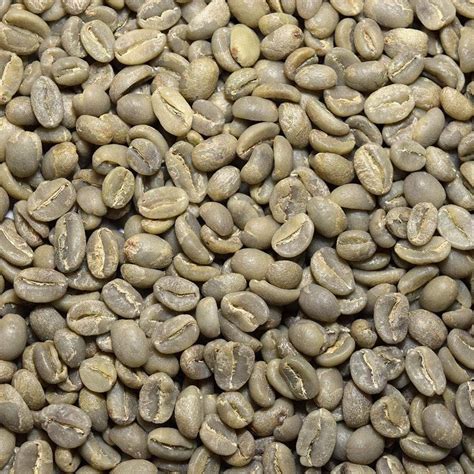 Fresh Roasted Coffee Llc Green Unroasted Ethiopian Sidamo Coffee Beans