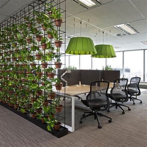 Why Office Designers Love Greenery Modern Concepts Brisbane