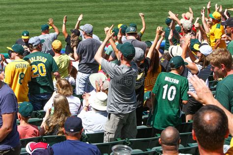 Major League Baseball Oakland As Fans Cheering Editorial Image