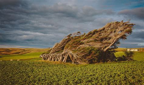 Slope point lies just south of the small settlements of waikawa and haldane, near the southwestern edge of the catlins. Slope Point Accommodation, the Catlins, Southland, New ...