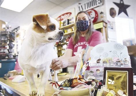 Shop Dog Turning Into Greenville Mainstay At Local Business Local