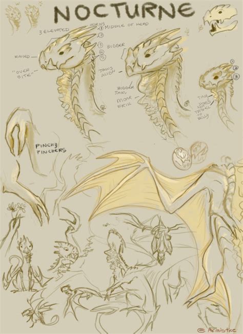 Dragon Anatomy Guide Creative Corner Flight Rising