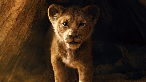 The Lion King 2019 5k Wallpapers Hd Wallpapers Id 26838