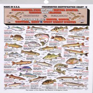 5 Freshwater Fishing Charts We Reviewed Them All 2022