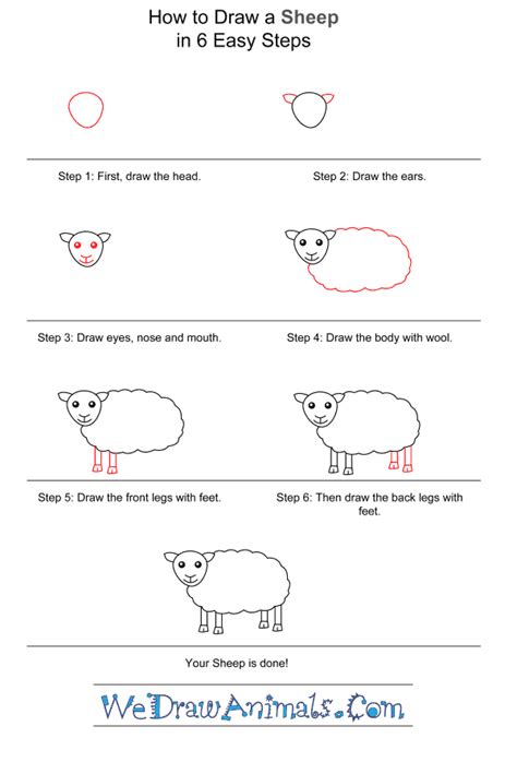 How To Draw A Simple Sheep For Kids