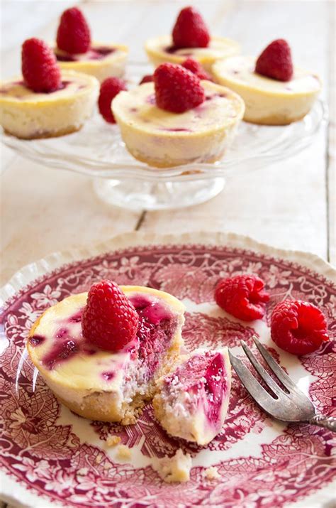 I've lined up the best keto cheesecake recipes that make healthy taste like heaven. These creamy, fruity individual mini raspberry cheesecakes ...