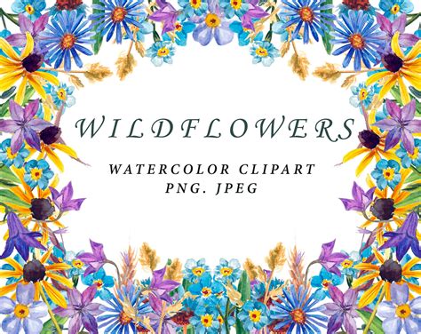 Wildflowers Watercolor Clipart Png Digital Border Etsy