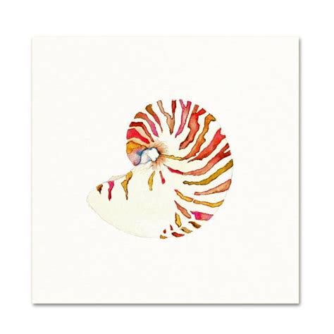 Nautilus Shell Art Print Watercolor Sea Shell Painting Etsy